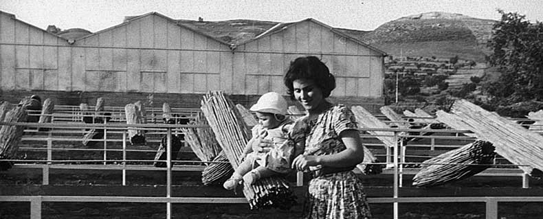 The Ciarrocchi little children grow up in the 60s in the new nurseries of Marche region