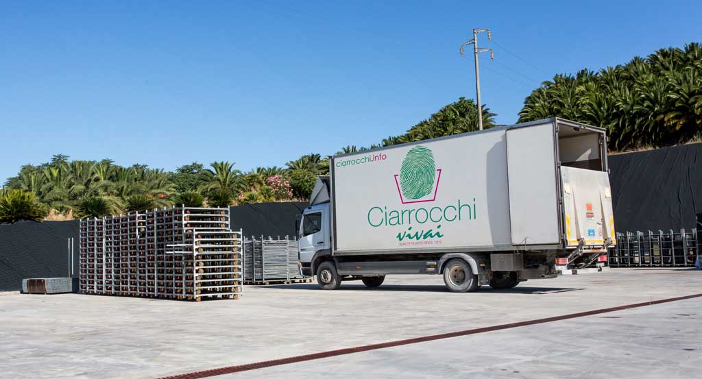 logistica_ciarrocchi-vivai